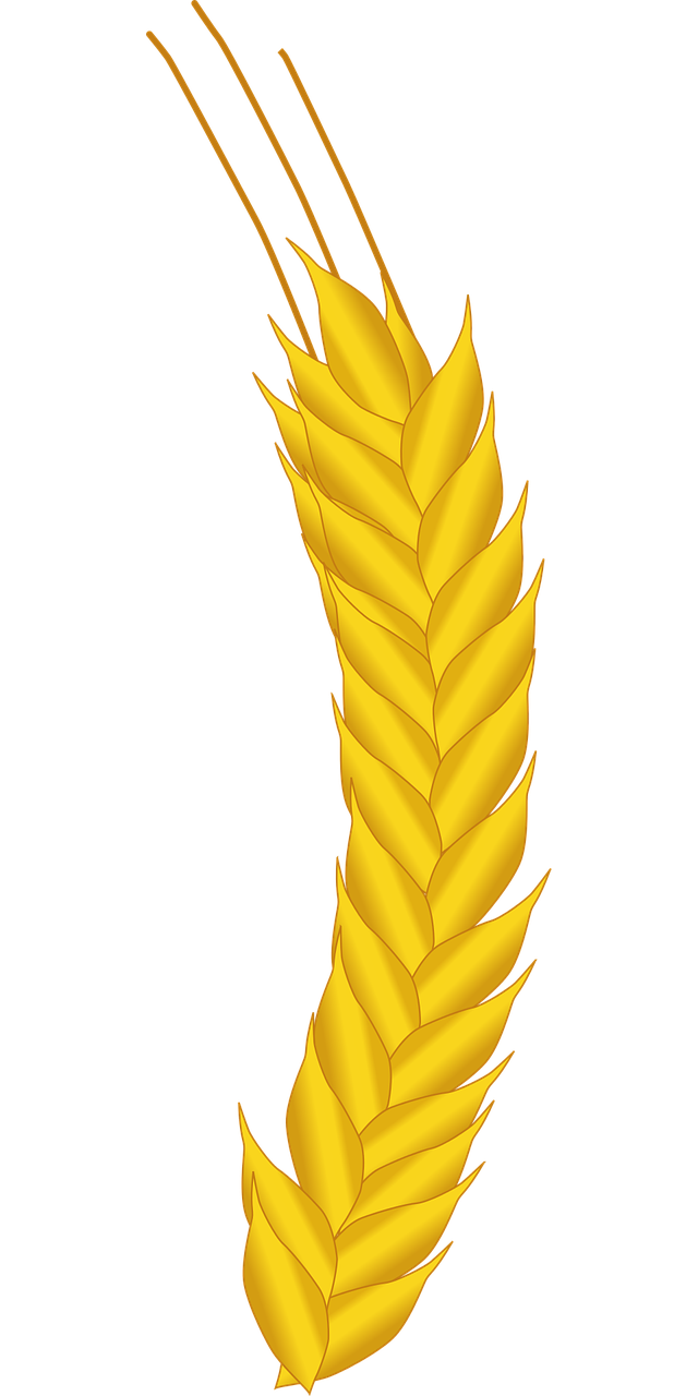 agriculture-2024315_1280